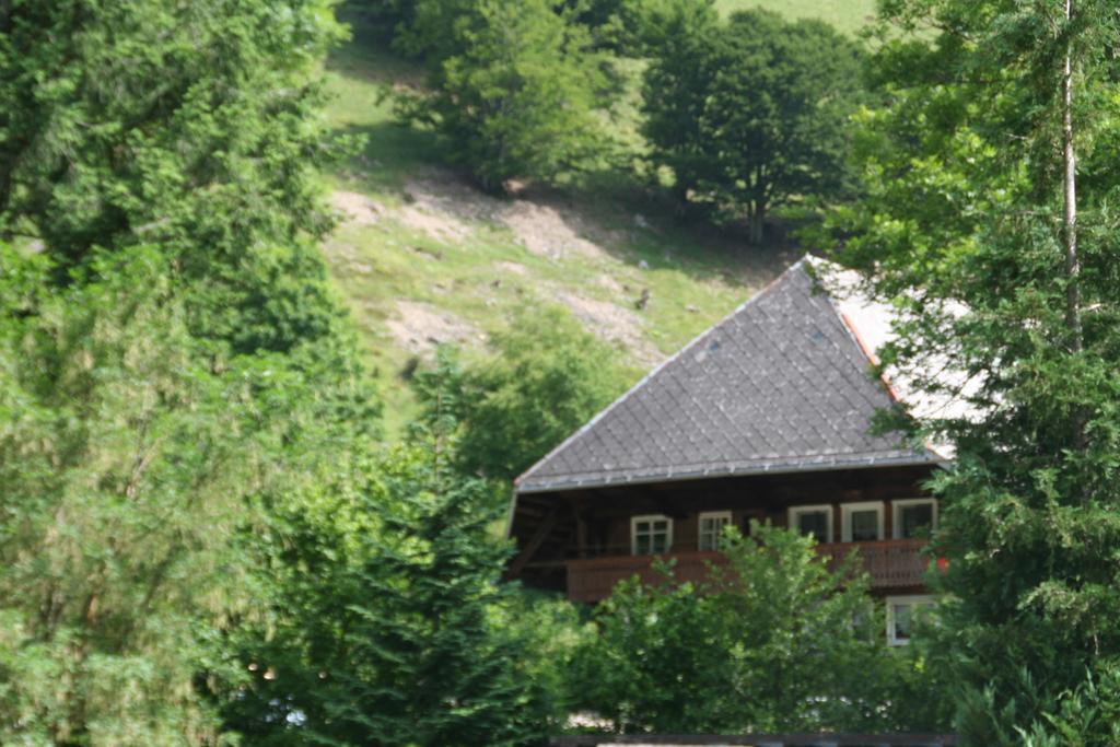 Hotel Gasthaus Hirschen Im Hochschwarzwald Todtnau Nahe Feldberg ภายนอก รูปภาพ