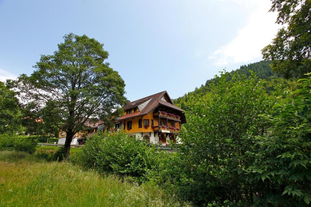 Hotel Gasthaus Hirschen Im Hochschwarzwald Todtnau Nahe Feldberg ภายนอก รูปภาพ